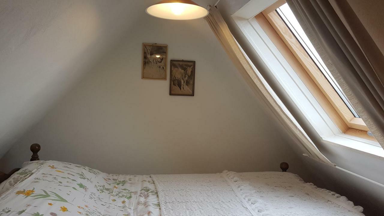 Homestay Stavenisse المظهر الخارجي الصورة